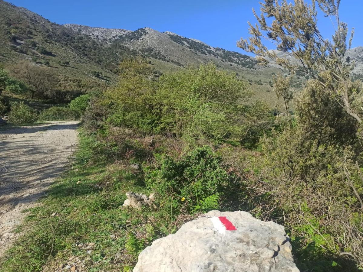 Pelagias Lefka With Heated Pool Mathes